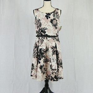 Brand New Taylor Fit & Flare Dress